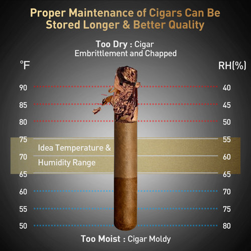 Needone 23L Electric Cigar Humidor with Thermostat (150 Cigar Capacity